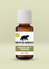Northstar Aromatics Headache + Tension essential oil blend in 15ml amber bottle with white cap