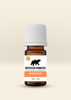 Northstar Aromatics Energize essential oil stock blend in a 5 mL bottle, featuring bright citrus, cool mint and fresh herbal notes.