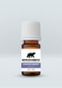 Small amber bottle of organic Juniper Berry essential oil with white ribbed cap and nature-inspired label on pale gray background