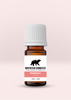 Small amber bottle of Manuka Wild essential oil by Northstar Aromatics with white ribbed cap on pale pink background