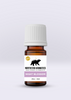 Night Blossom Blend essential oil in 5ml amber bottle for calm, relaxation, and bedtime support.