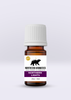 Amber glass bottle of Northern Lights essential oil blend with a white cap and label featuring a bear silhouette and purple accent.