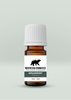 Amber bottle of organic Spearmint oil with white cap and Northstar Aromatics logo on pale green background