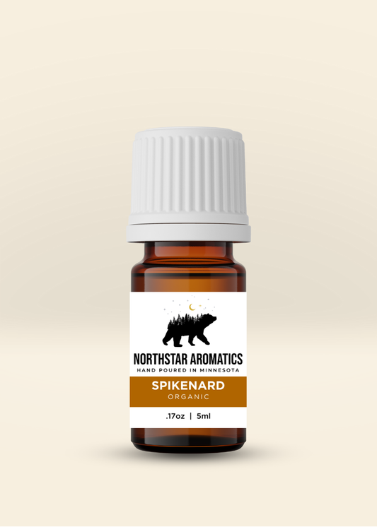 5ml amber bottle of organic Spikenard essential oil with white cap and Northstar Aromatics label, gallery position one