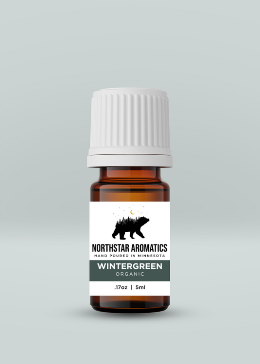 Wintergreen Wild essential oil by Northstar Aromatics in 5ml amber bottle with child-proof cap.