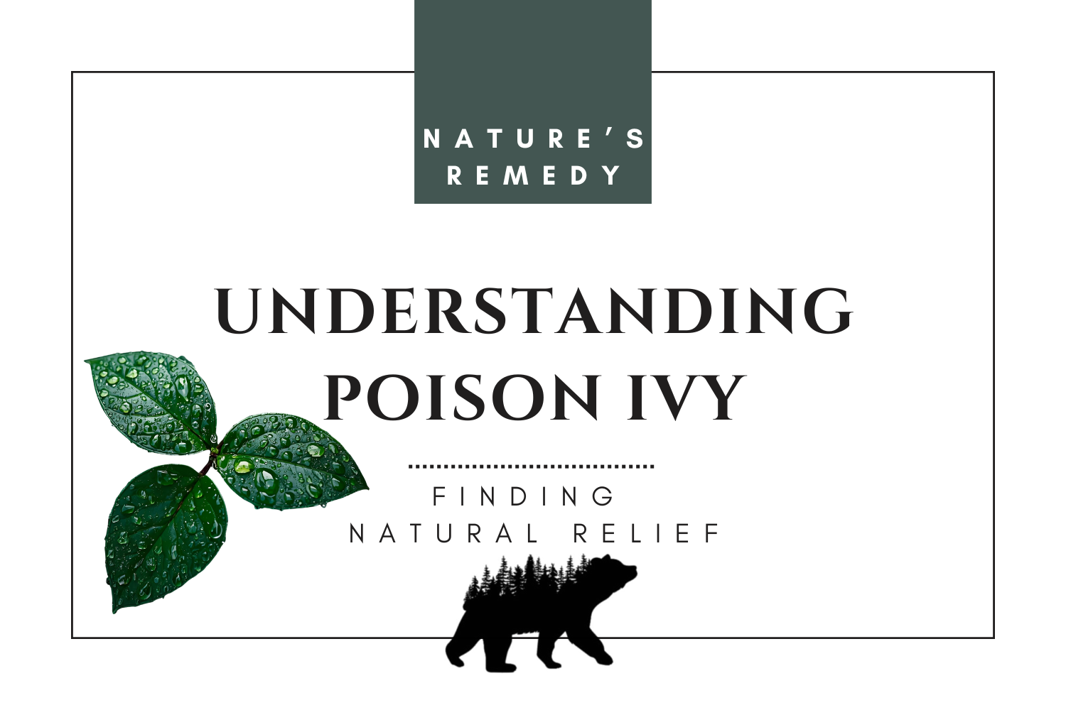 Nature’s Remedy: Understanding Poison Ivy and Finding Natural Relief