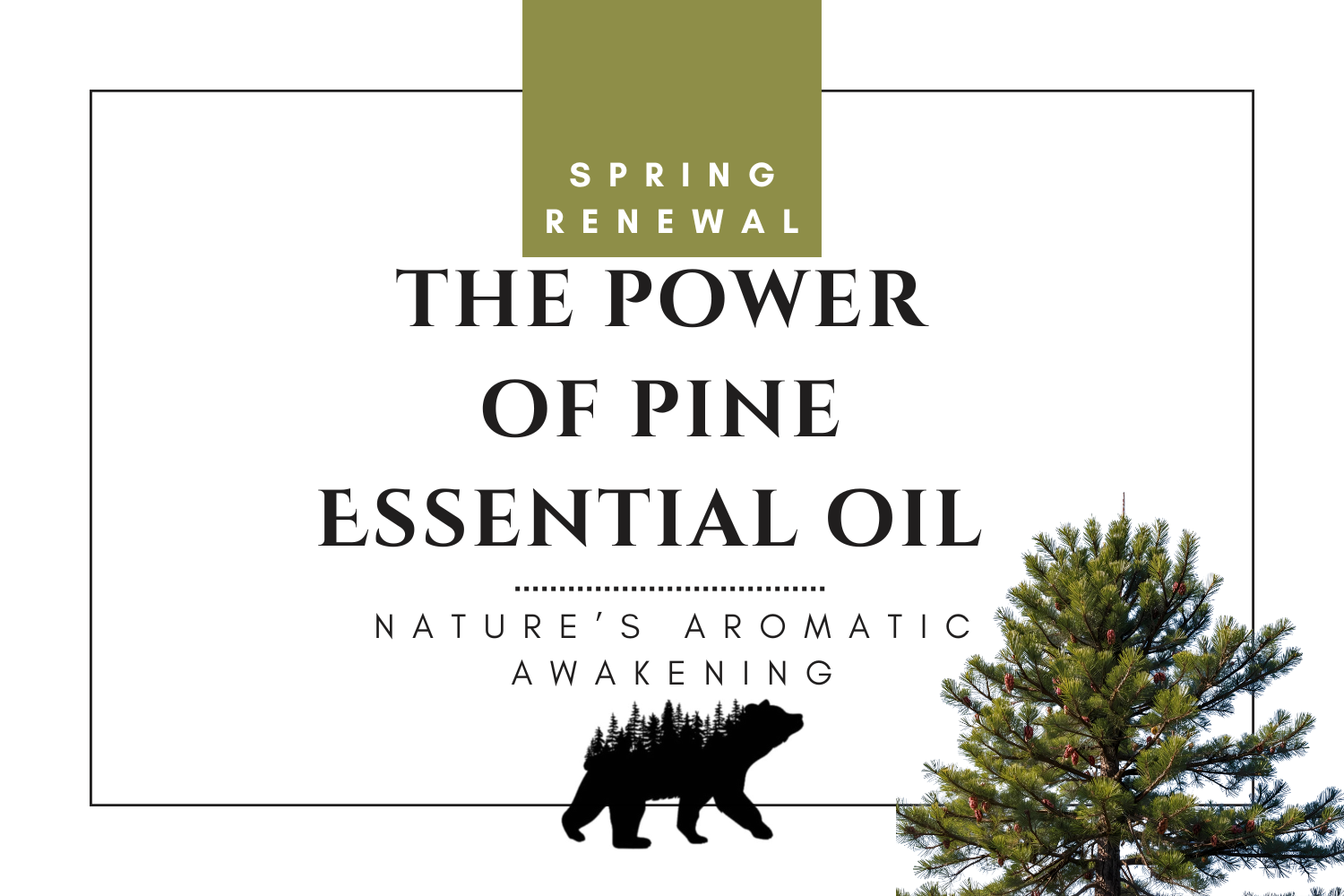 The Power of Pine: A Glimpse Into Nature’s Aromatic Awakening