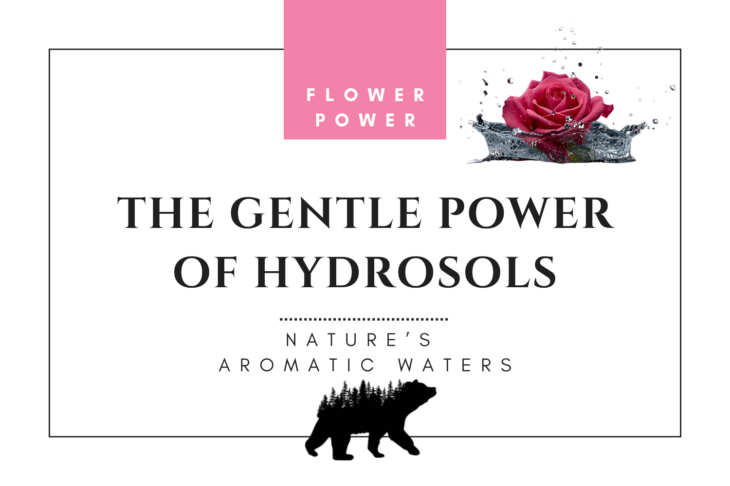 The Gentle Power of Hydrosols: Nature’s Aromatic Waters